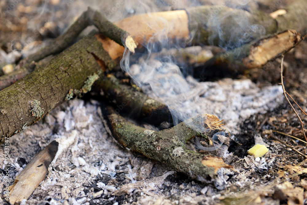 Campfire in the wood