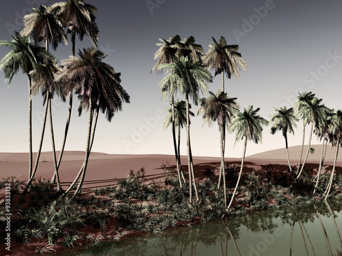 African oasis © satori