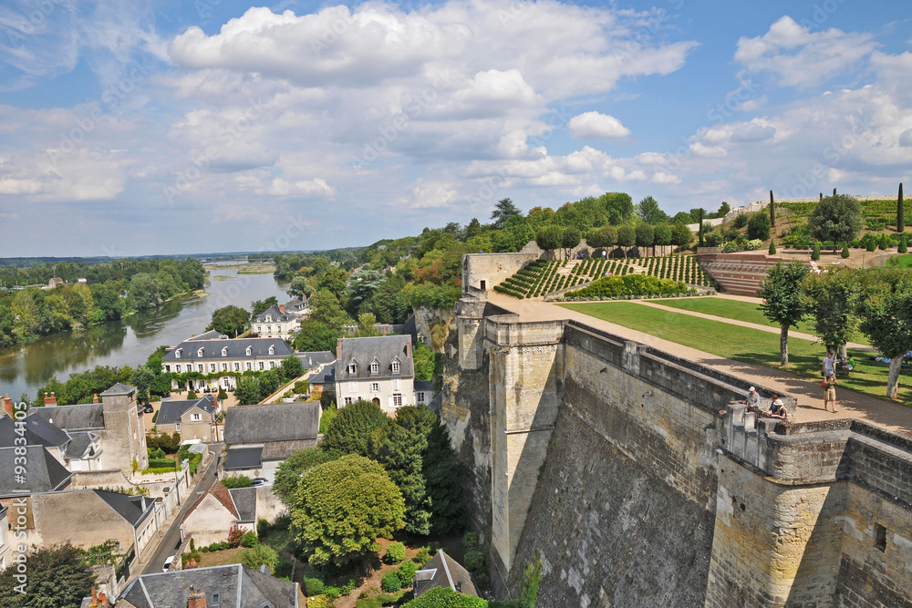 Amboise  e la Loira dal castello - Francia