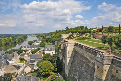 Amboise e la Loira dal castello - Francia