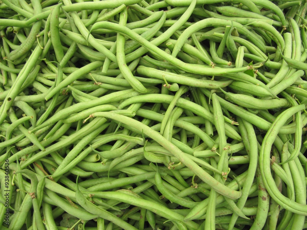 Judías verdes Judías verdes
