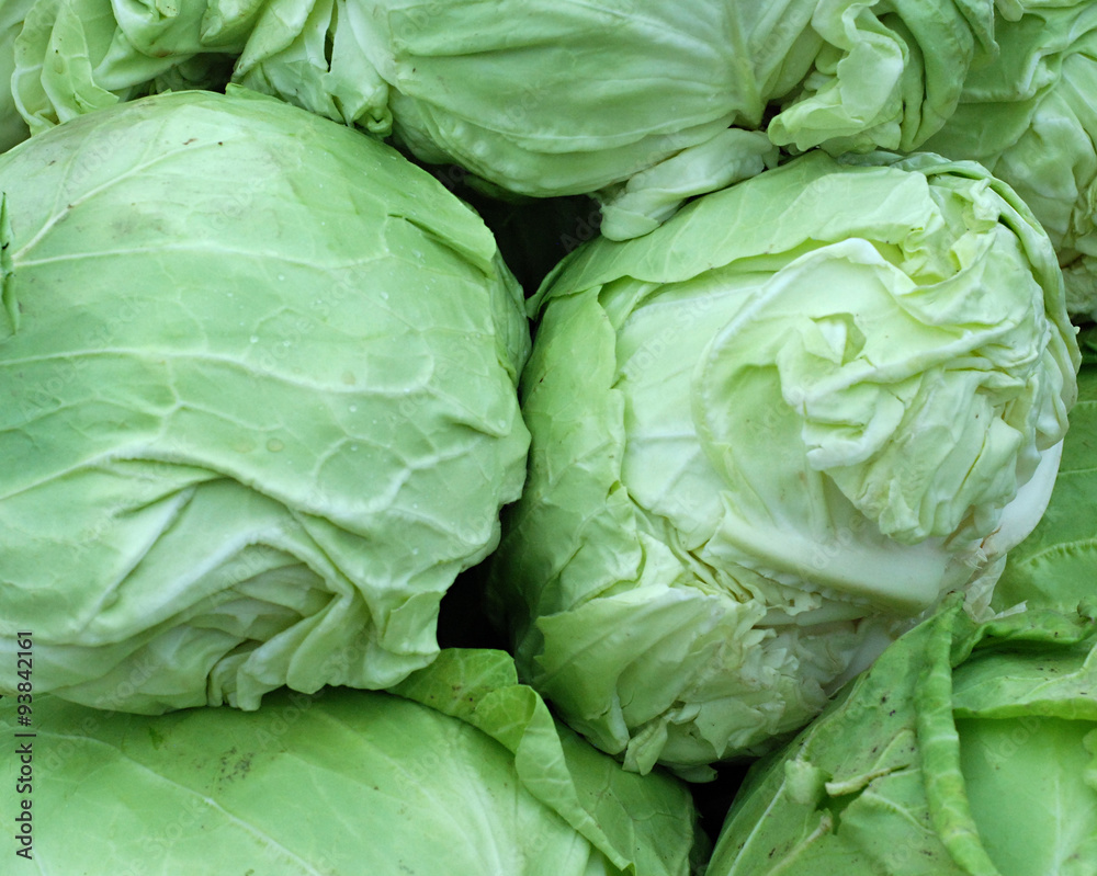 Fototapeta premium cabbage for sale in a market