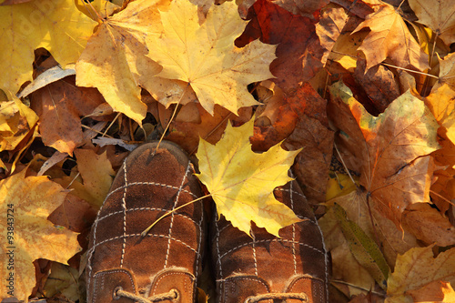 beautiful autumn leaves and boots photo