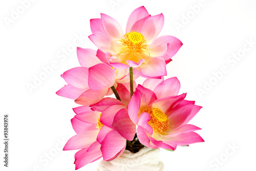 lotus on isolate white background. © noppharat