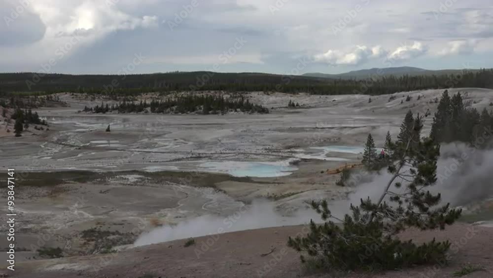 Yellowstone Park Norris Geyser Basin steam valley 4K Yellowstone Park Norris Geyser Basin steam valley 4K