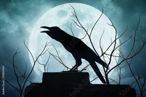 Crow silhouetted against full moon