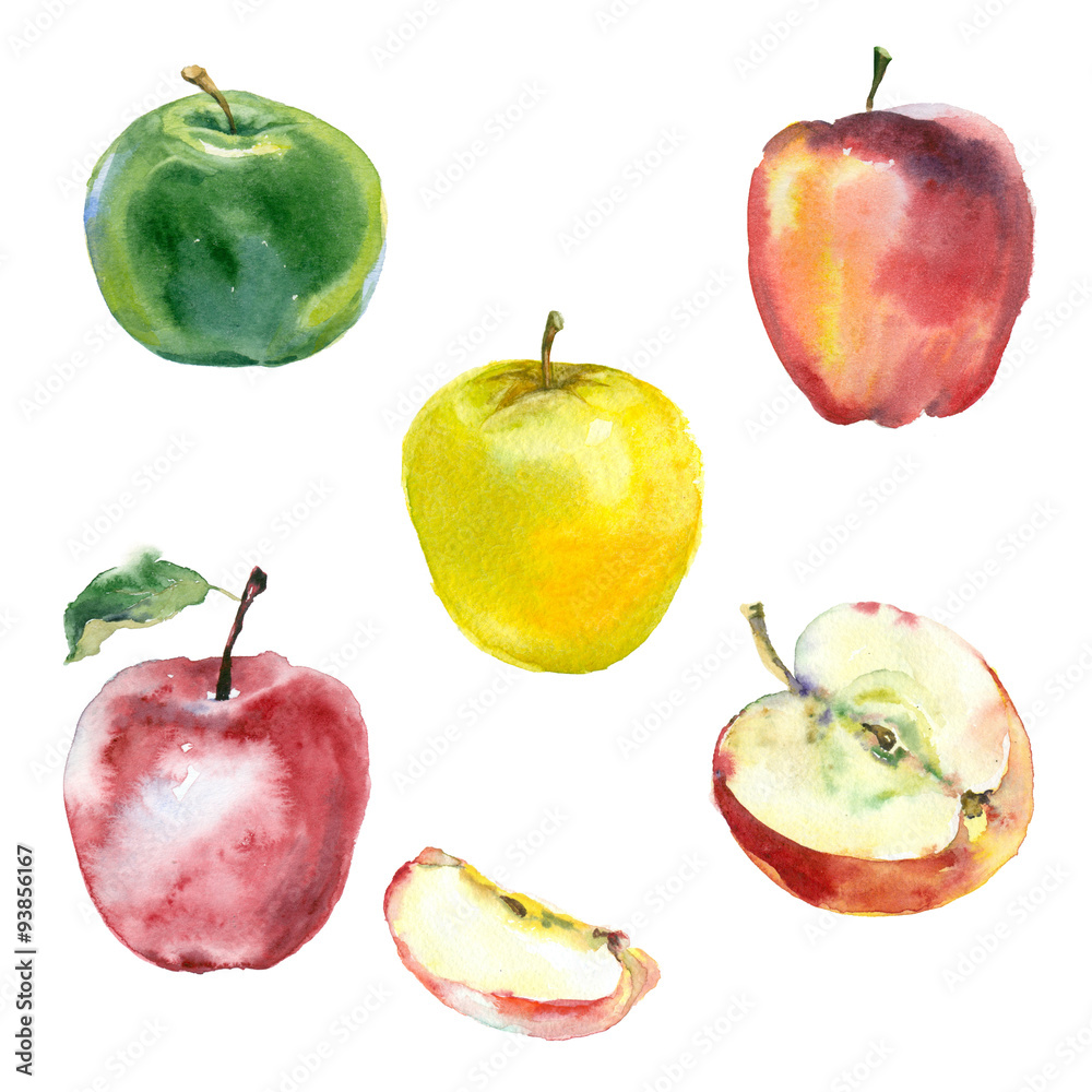 watercolor apples watercolor apples
