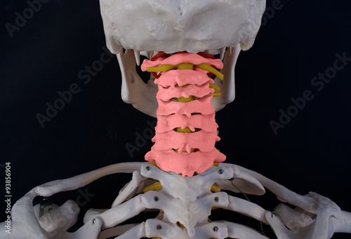 Cervical Spine 