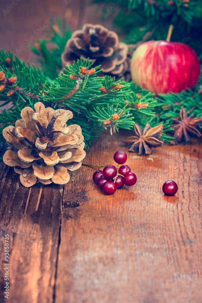 Fototapeta premium apples and fir branch