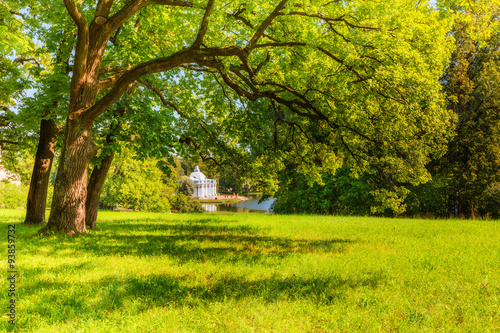 View of park in Pushkin in summer day