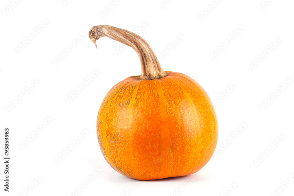 Obraz premium Pumpkin isolated on white