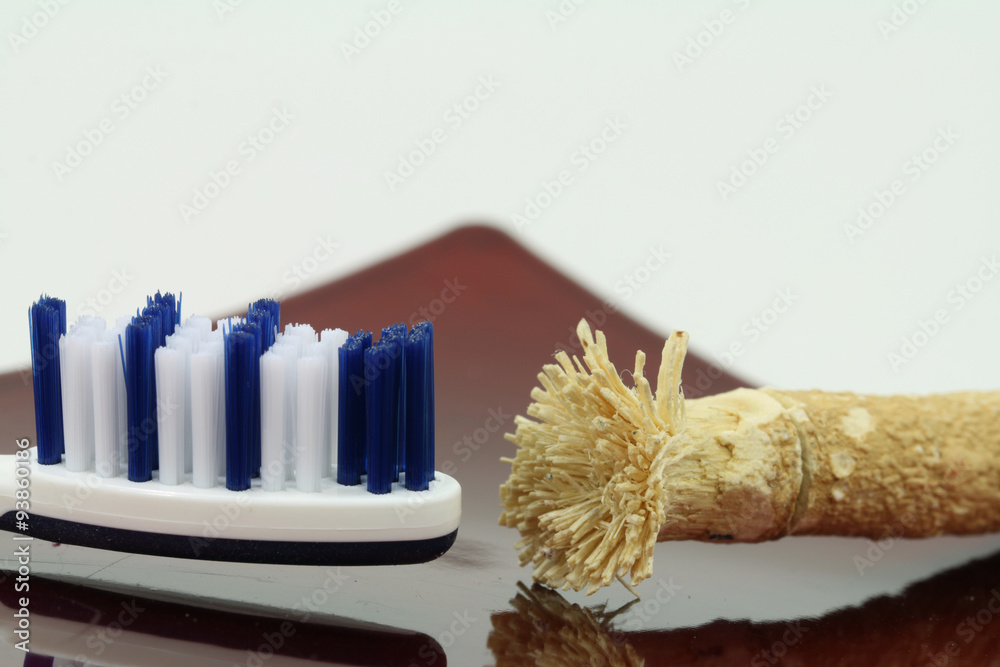 Der Miswak ist eine traditionelle arabische Form der Zahnbürste Stock Photo  | Adobe Stock
