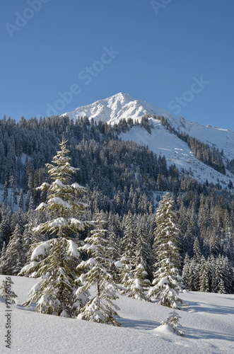 Berge, Wald, Winter, Schnee