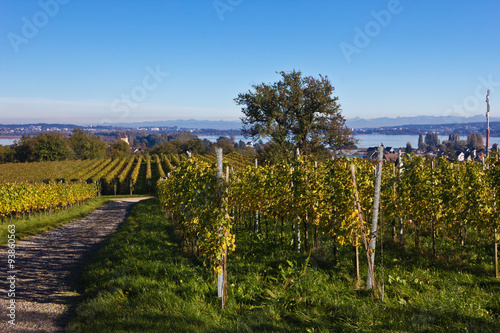 Herbst auf der Insel Reichenau 5