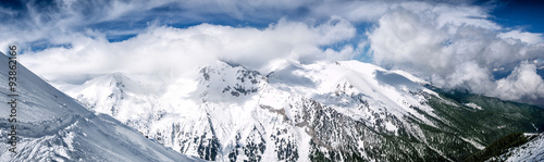 Winter mountain panorama with snowy trees on slope #93862166