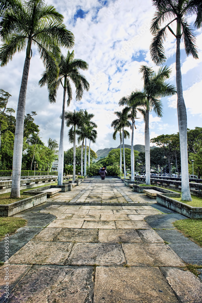 Fototapeta premium Hawaii Walkway.
