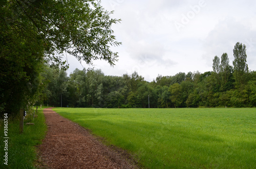 View trough forest edge on lawn and run track