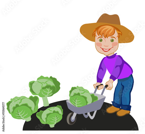 Little boy working in a vegetable farm