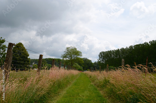Grassy walking trail in between fields