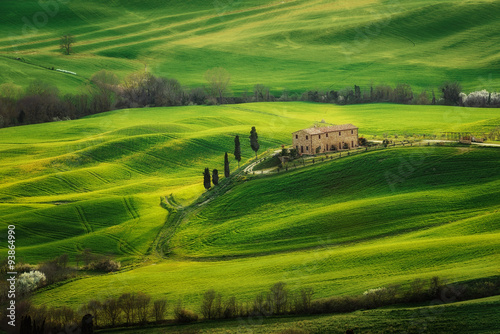 Tuscany - Landscape panorama, hills and meadow