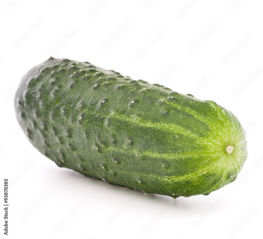 Cucumber vegetable isolated on white background cutout Cucumber vegetable isolated on white background cutout