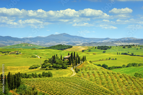 Tuscany, farmland and cypress trees, green fields. Italy. © stevanzz