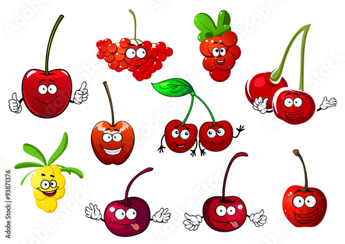 Cherry, rowanberry, cowberry and sea buckthorn