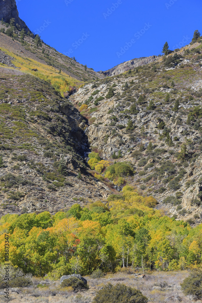 Obraz premium Beautiful fall color in California