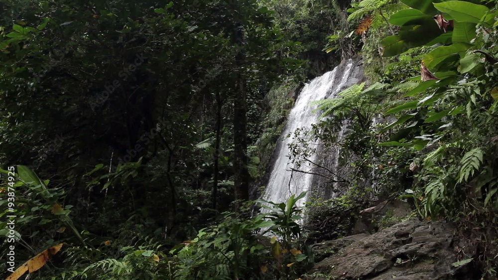 El Yunque rainforest waterfall jungle Puerto Rico HD 1763 El Yunque rainforest waterfall jungle Puerto Rico HD 1763