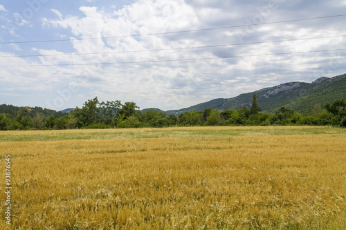 Countryside in Croatia