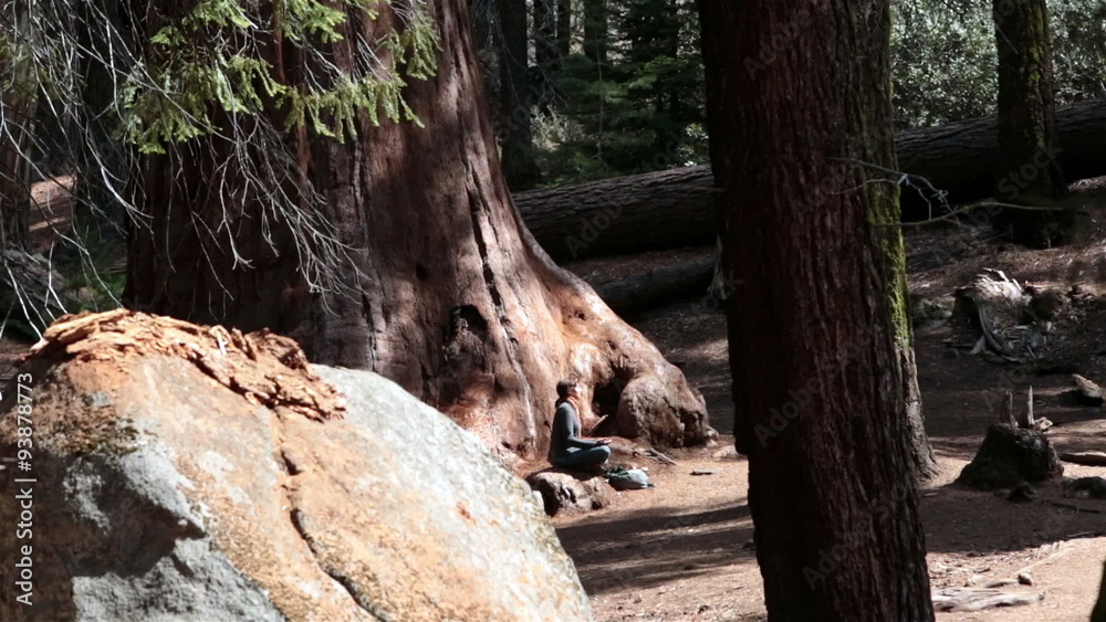 Young woman Redwood Sequoia forest wilderness yoga HD 6356 Young woman Redwood Sequoia forest wilderness yoga HD 6356