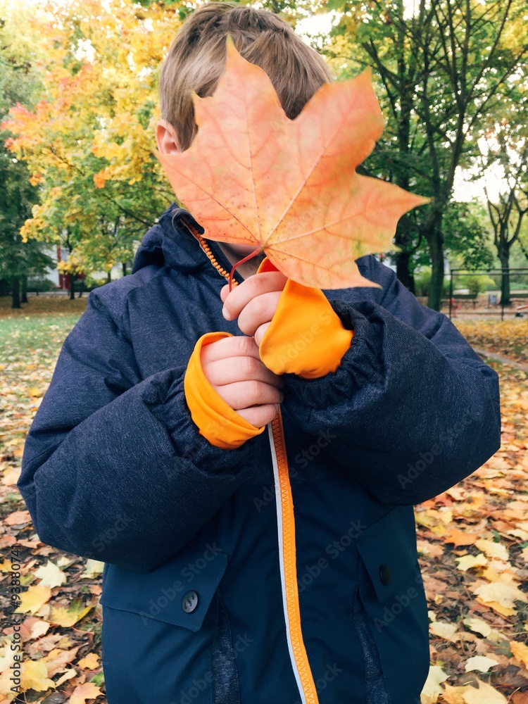 Junge hält rotes Blatt im Herbst in der Hand
