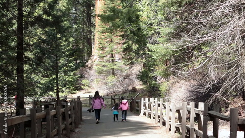 Family hike trail King Canyon National Park Redwood Sequoia HD 6394