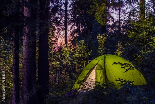 Camping in a Forest