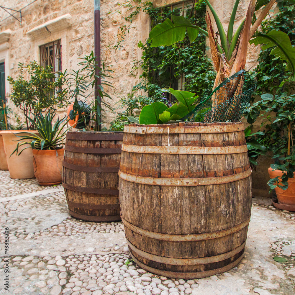 Naklejka premium Plants and palms in old wooden barrels in narrow street in the Old Town in Dubrovnik, Croatia, mediterranean ambient