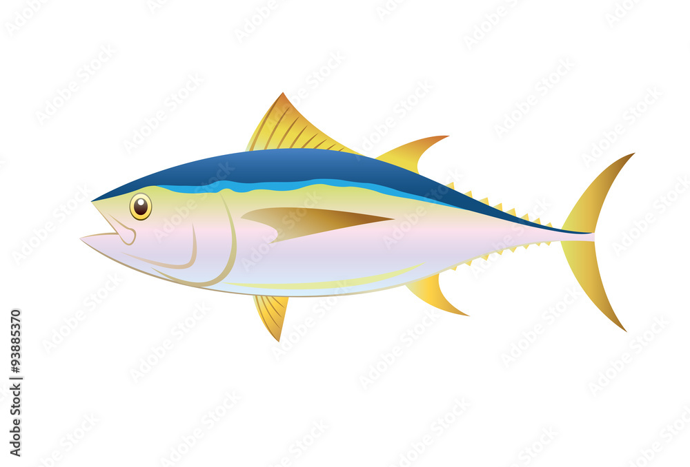 Illustration tuna fish