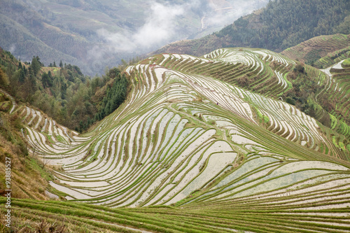 Longji rice terraces in early spring