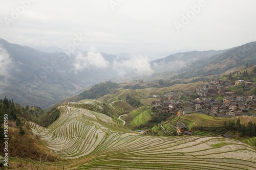 Longji rice terraces in early spring photo