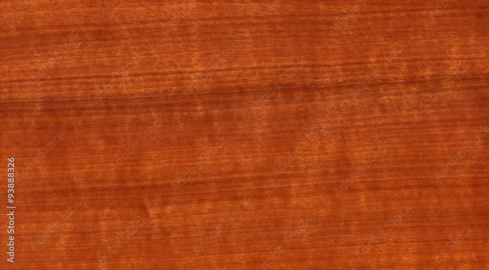 Fototapeta premium Wood texture with natural wood pattern