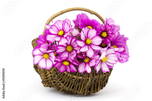 cosmos flowers in a basket