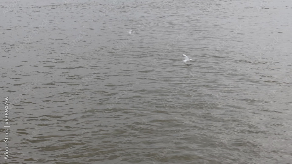 Wavy flowing river 10288 Wavy flowing river 10288