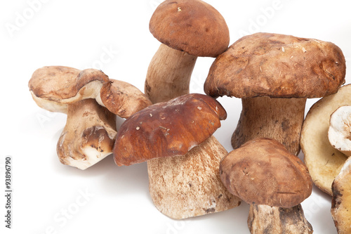 Beautiful cut mushrooms on white background