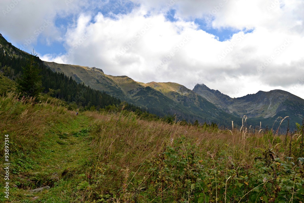 Tatry Słowackie, w Dolinie Cichej Tatry Słowackie, w Dolinie Cichej