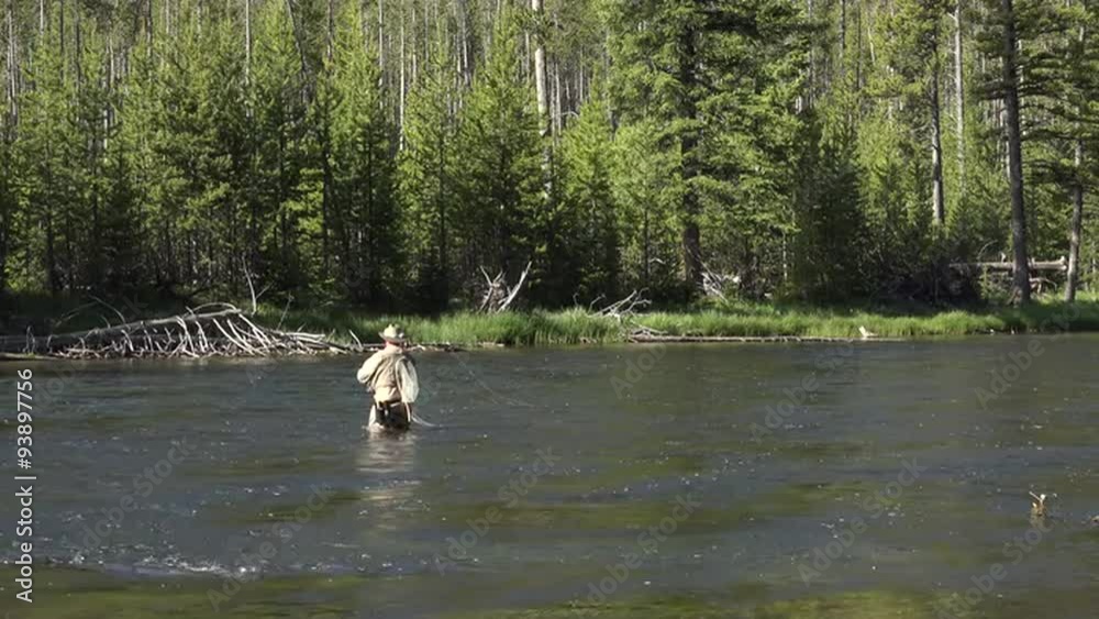 Recreation fly fishing Yellowstone Park forest river 4K Recreation fly fishing Yellowstone Park forest river 4K