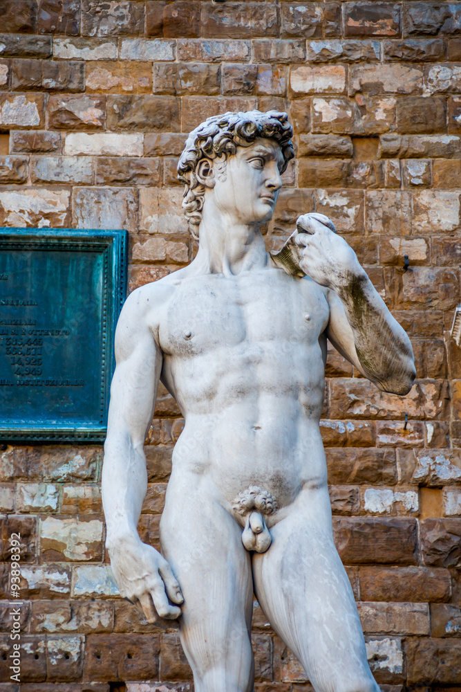 Obraz premium David by Michelangelo