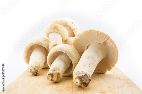 Wild mushroom on wood cutting board