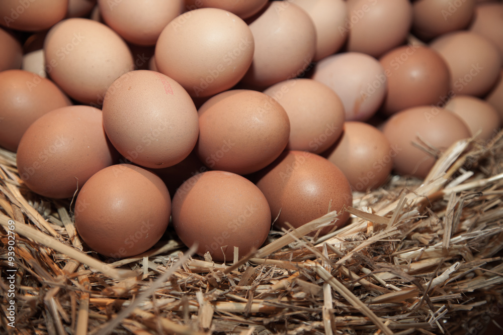 Fresh chicken eggs in hen house