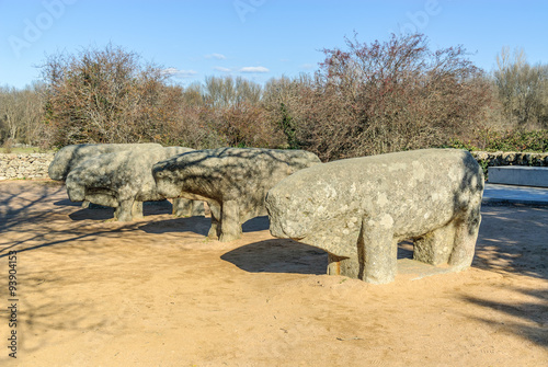 Celtiberian sculptures with form of bulls in 
GuisandoThe Tiemblo in Avila, Spain photo