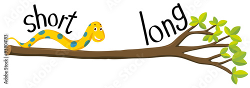 Opposite adjectives with short and long