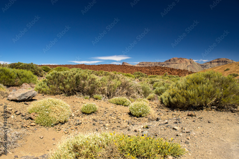 Small stoney desert inside the volcano of Tenerife...